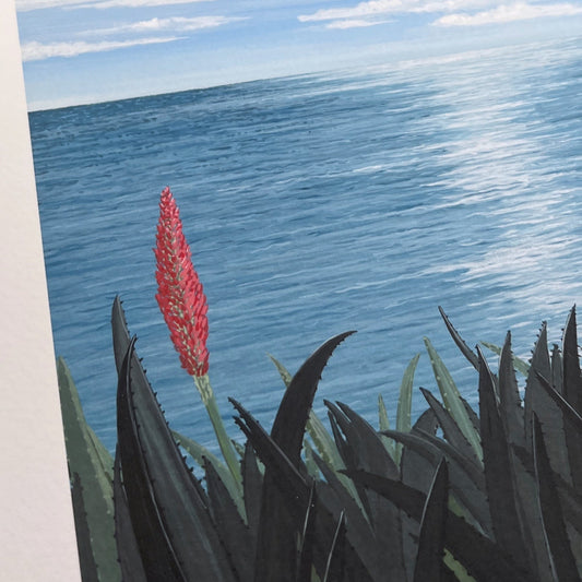 Red Aloe Fine Art Print
